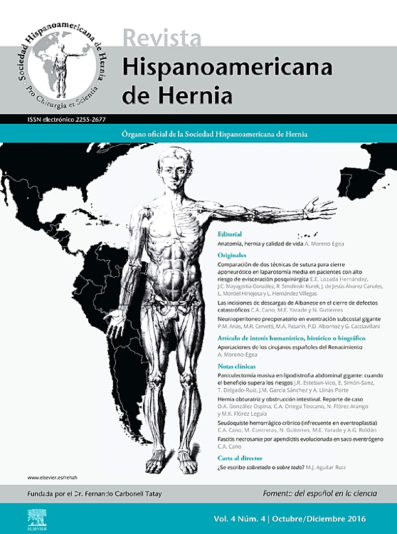 Go to journal home page - Revista Hispanoamericana de Hernia